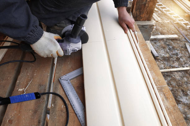 Best Siding Painting and Refinishing  in San Benito, TX